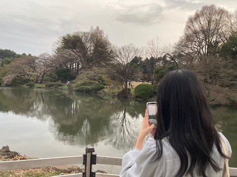 理科（物理・化学・生物・地学)の解き方を教えてくれるのオンラインレッスン講師